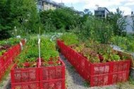Бортик из старых ящиков Бортик из старых ящиков