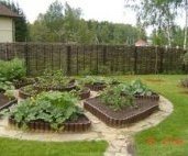 Декоративный огород Декоративный огород