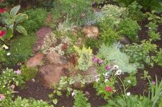 Вариант альпинария Фото готовых альпийских горок