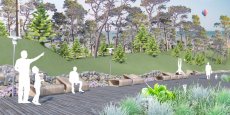 Ландшафтный парк «Экоостров». Ульяновск, Россия. Ландшафтный парк «Экоостров». Ульяновск, Россия.