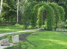 Пергола из пластика Пергола из пластика