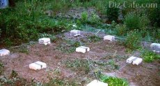 Столбчатый фундамент для беседки Столбчатый фундамент для беседки